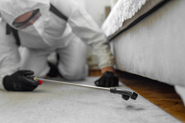 Professional Cockroach Control technician working in McColl, SC