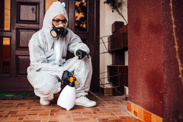Reliable Cockroach Control contractor in McColl, SC by Nex Pest Control